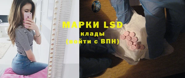каннабис Новозыбков