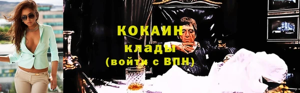 каннабис Новозыбков