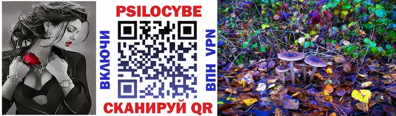 Галлюциногенные грибы Psilocybe  Ярцево 