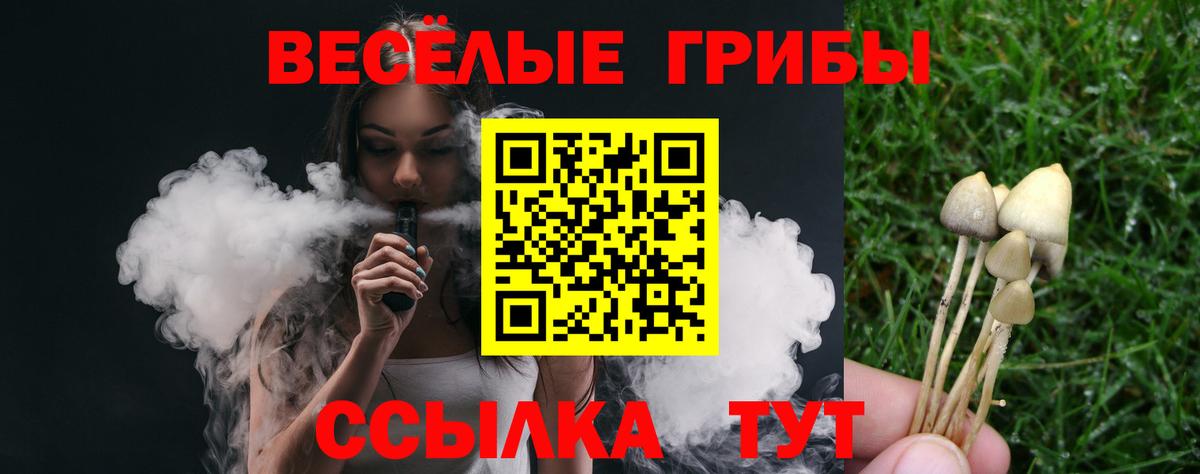 Галлюциногенные грибы GOLDEN TEACHER Ярцево