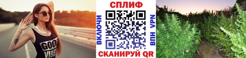 магазин продажи   Ярцево  Канабис тримм 